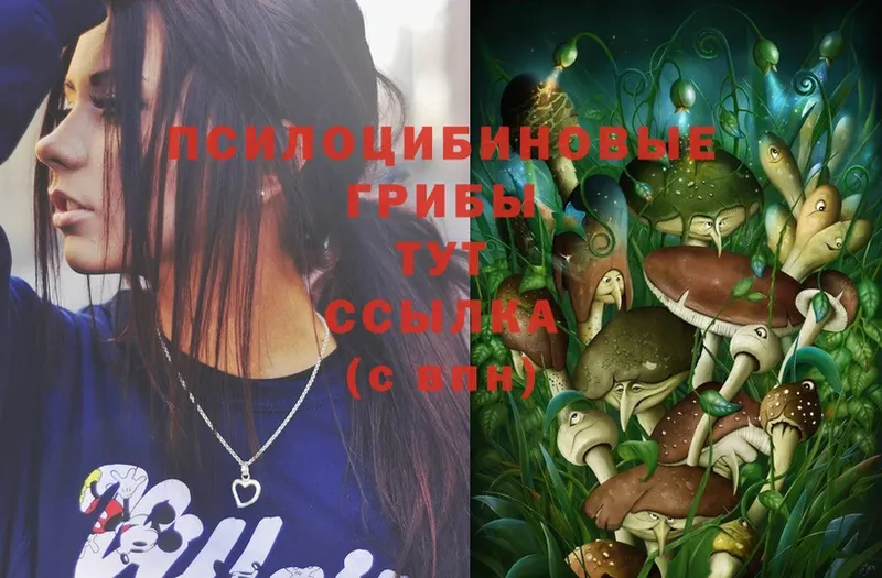 Псилоцибиновые грибы Magic Shrooms Барабинск